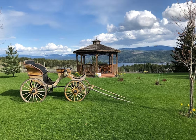 Celista Vineyards